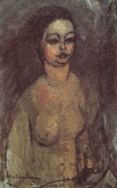 Amedeo Modigliani Jeune fille nue (mk38) china oil painting image